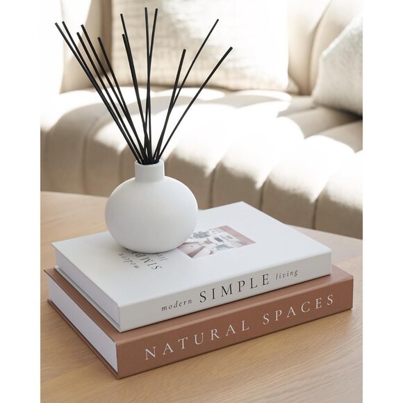 Beautiful Decorative Books Set of 2 Boxes Enhance Your Coffee Table Shelf Decor